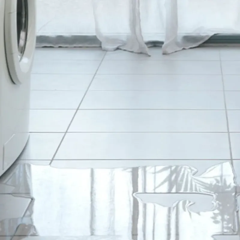 Appliance Leak Cleanup in Talty, TX