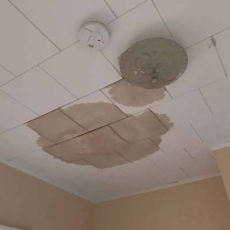 Ceiling Water Damage Repair in Talty, TX