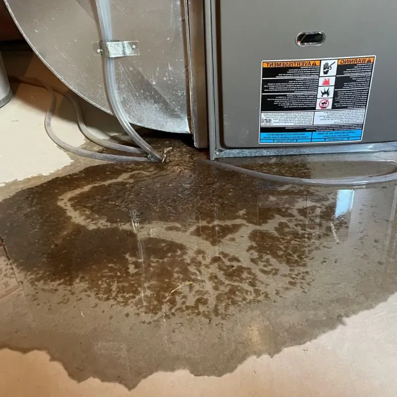 Pipe Burst and Leak Restoration in Talty, TX