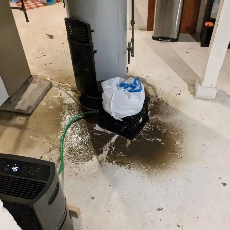 Sewage Backup Cleanup Service in Talty, TX